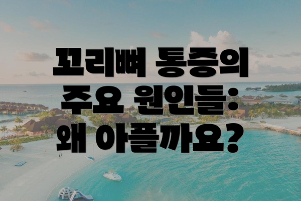 꼬리뼈 통증의 주요 원인들: 왜 아플까요?