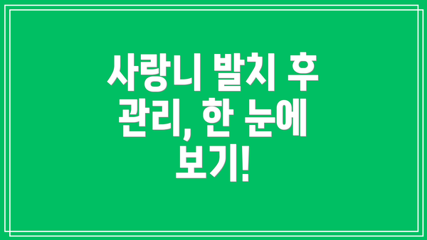 사랑니 발치 후 관리, 한 눈에 보기!