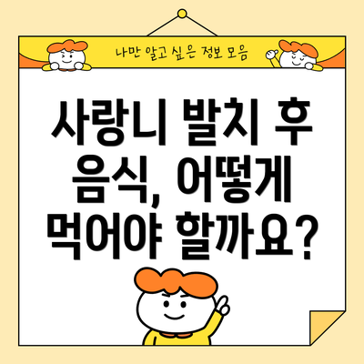 사랑니 발치 후 음식, 어떻게 먹어야 할까요?