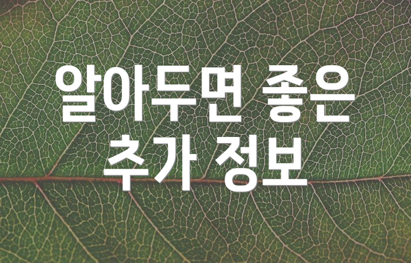 알아두면 좋은 추가 정보