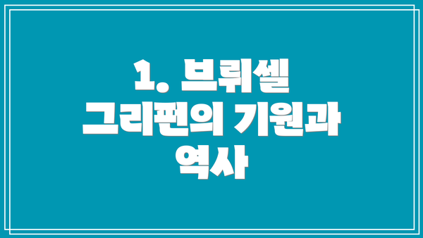 1. 브뤼셀 그리펀의 기원과 역사