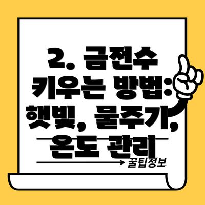 2. 금전수 키우는 방법: 햇빛, 물주기, 온도 관리