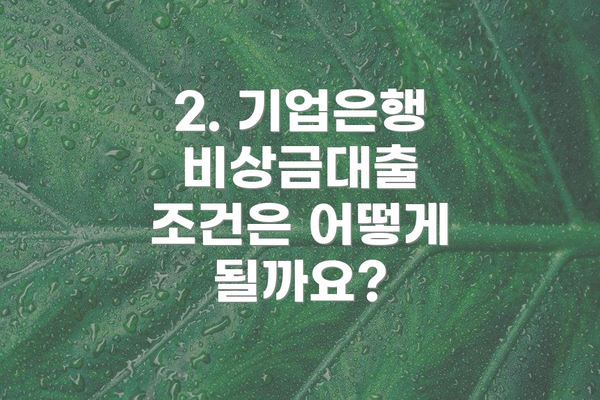 2. 기업은행 비상금대출 조건은 어떻게 될까요?