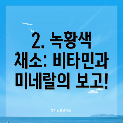 2. 녹황색 채소: 비타민과 미네랄의 보고!