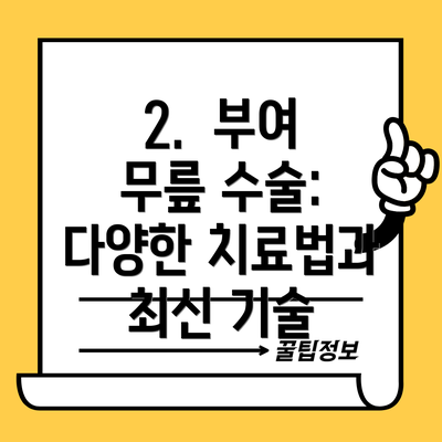 2. 부여 무릎 수술: 다양한 치료법과 최신 기술