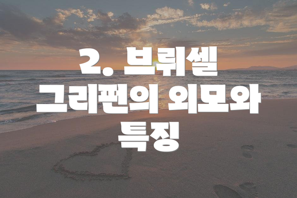 2. 브뤼셀 그리펀의 외모와 특징