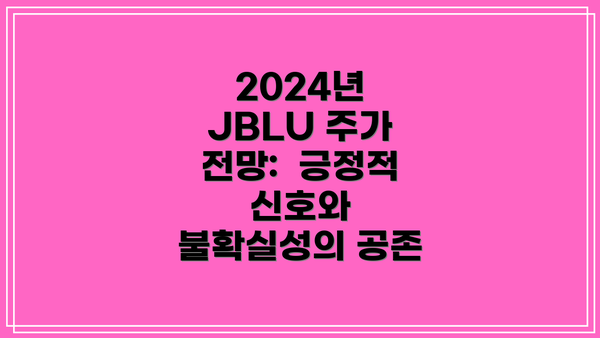 2024년 JBLU 주가 전망: 긍정적 신호와 불확실성의 공존