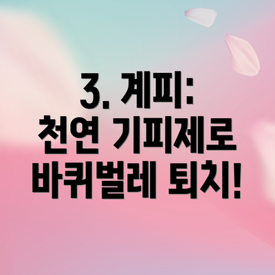3. 계피: 천연 기피제로 바퀴벌레 퇴치!