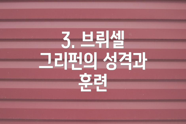 3. 브뤼셀 그리펀의 성격과 훈련