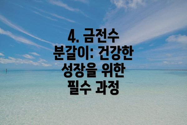 4. 금전수 분갈이: 건강한 성장을 위한 필수 과정