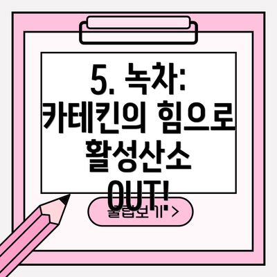 5. 녹차: 카테킨의 힘으로 활성산소 OUT!