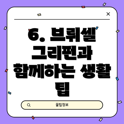 6. 브뤼셀 그리펀과 함께하는 생활 팁
