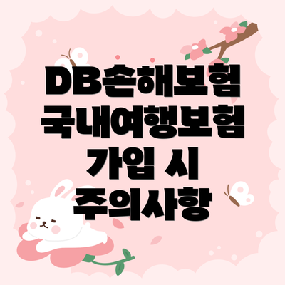 DB손해보험 국내여행보험 가입 시 주의사항