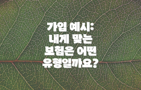 가입 예시: 내게 맞는 보험은 어떤 유형일까요?