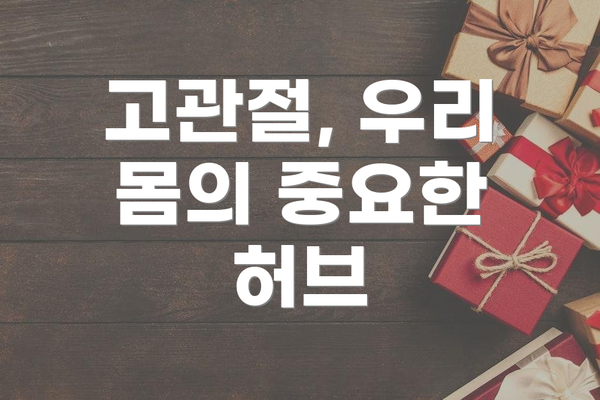 고관절, 우리 몸의 중요한 허브