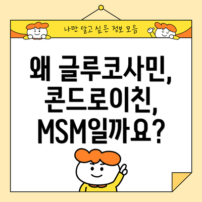 왜 글루코사민, 콘드로이친, MSM일까요?