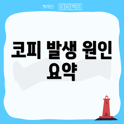 코피 발생 원인 요약