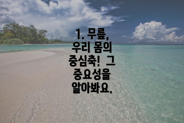 1. 무릎, 우리 몸의 중심축!  그 중요성을 알아봐요.