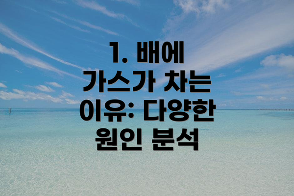 1. 배에 가스가 차는 이유: 다양한 원인 분석