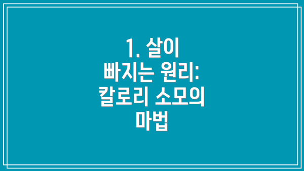 1. 살이 빠지는 원리: 칼로리 소모의 마법
