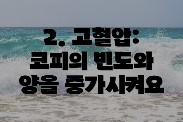 2. 고혈압: 코피의 빈도와 양을 증가시켜요