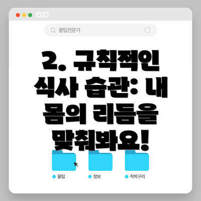 2. 규칙적인 식사 습관: 내 몸의 리듬을 맞춰봐요!