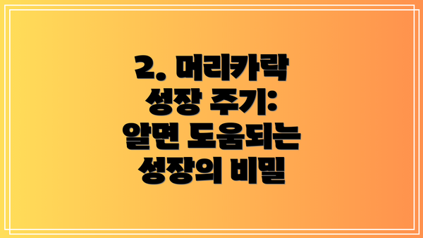 2. 머리카락 성장 주기:  알면 도움되는 성장의 비밀