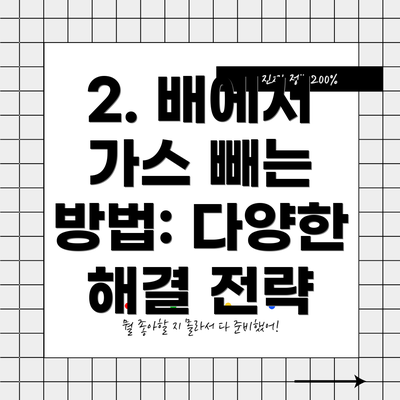 2. 배에서 가스 빼는 방법: 다양한 해결 전략