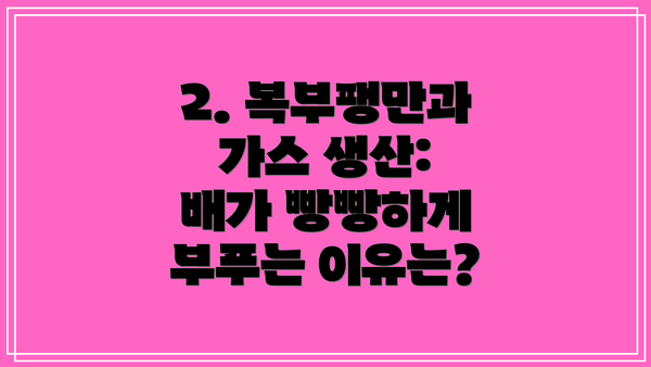 2. 복부팽만과 가스 생산: 배가 빵빵하게 부푸는 이유는?