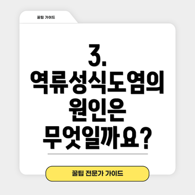 3. 역류성식도염의 원인은 무엇일까요?