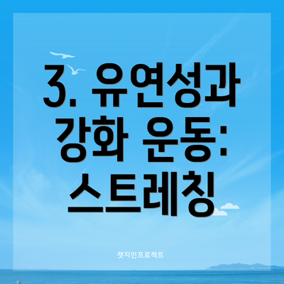 3. 유연성과 강화 운동: 스트레칭