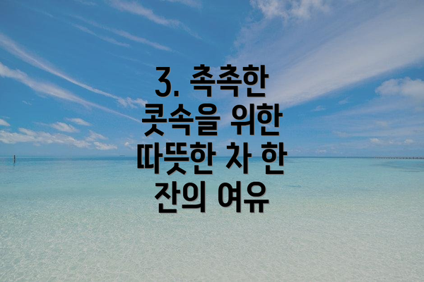 3. 촉촉한 콧속을 위한 따뜻한 차 한 잔의 여유