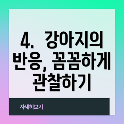 4.  강아지의 반응, 꼼꼼하게 관찰하기
