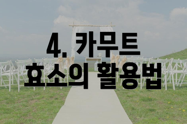 4. 카무트 효소의 활용법