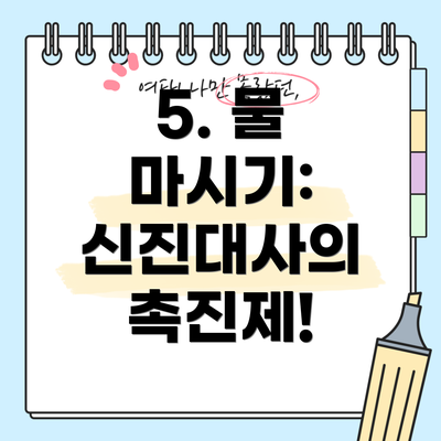 5. 물 마시기: 신진대사의 촉진제!