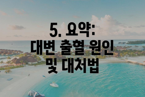 5. 요약: 대변 출혈 원인 및 대처법