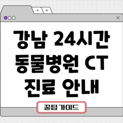 강남 24시간 동물병원 CT 진료 안내