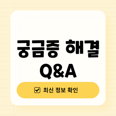 궁금증 해결 Q&A