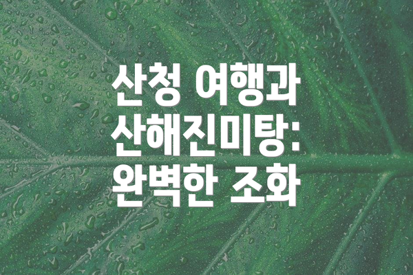 산청 여행과 산해진미탕: 완벽한 조화
