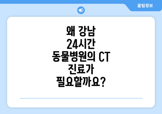 왜 강남 24시간 동물병원의 CT 진료가 필요할까요?