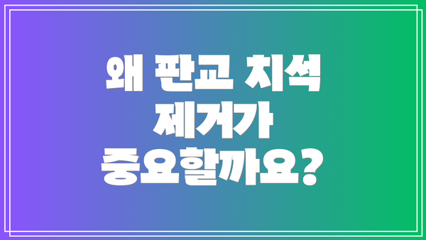 왜 판교 치석 제거가 중요할까요?