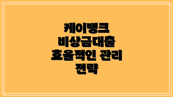 케이뱅크 비상금대출 효율적인 관리 전략