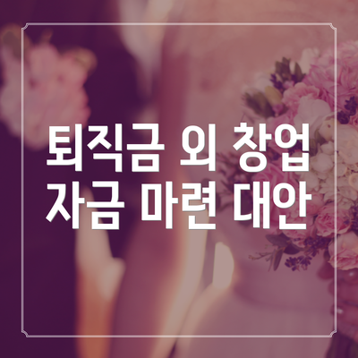 퇴직금 외 창업 자금 마련 대안