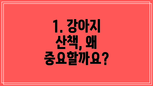 1. 강아지 산책, 왜 중요할까요?