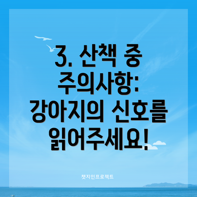 3. 산책 중 주의사항: 강아지의 신호를 읽어주세요!