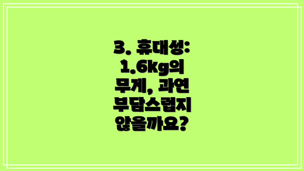 3. 휴대성: 1.6kg의 무게, 과연 부담스럽지 않을까요?
