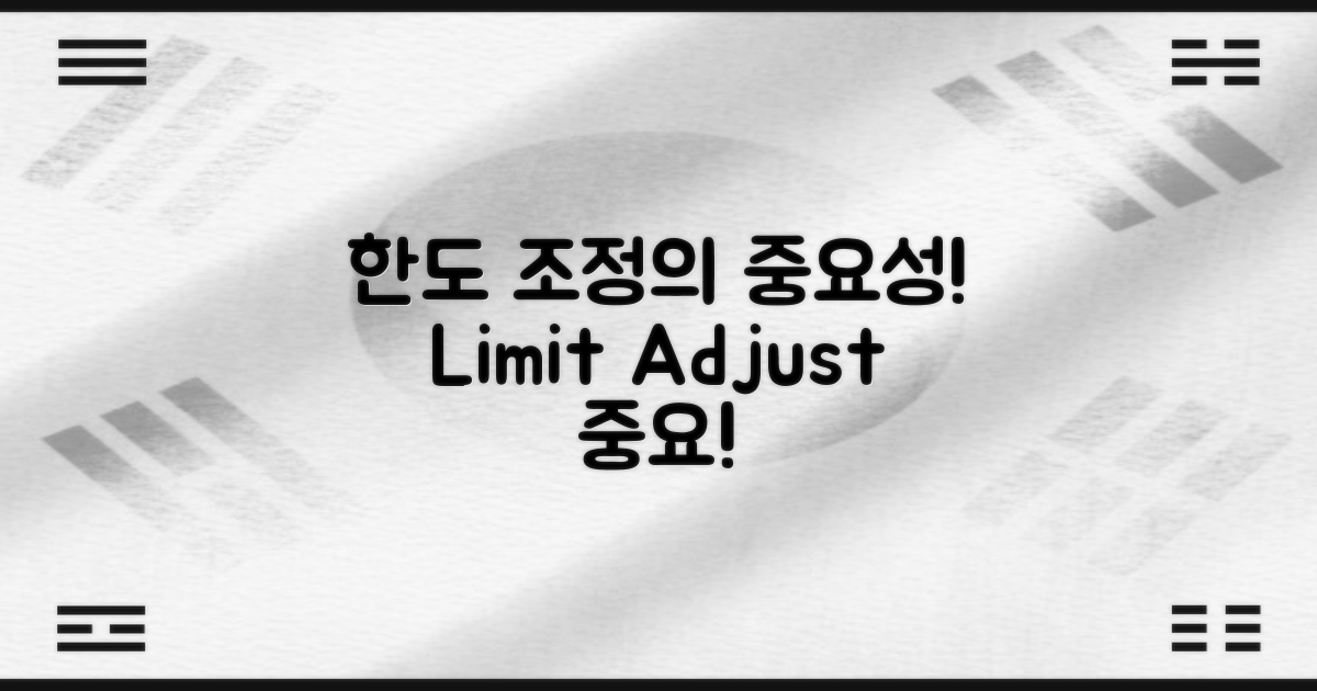 한도 조정의 중요성