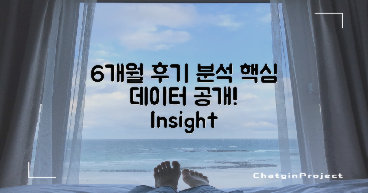 6개월 간 후기 분석